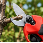Foarfecă electrică pentru vie și livadă 21V – 2 acumulatori